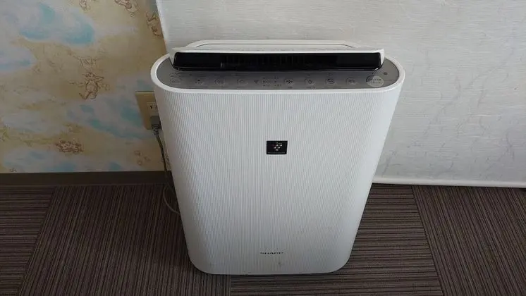 Tek Kişilik Oda, Sigara İçilebilir