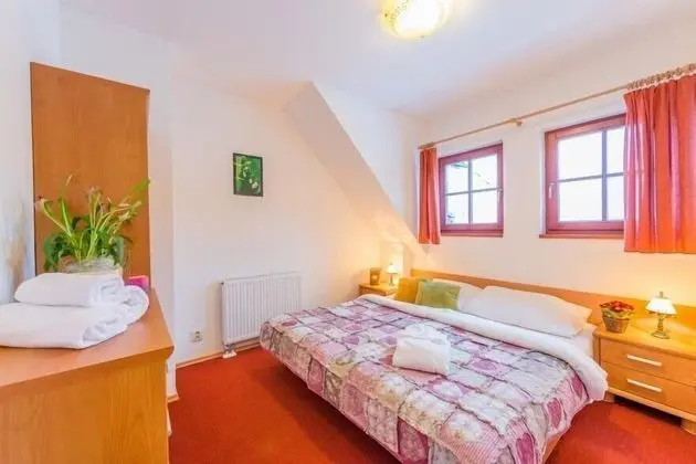 Tek Büyük Yataklı Oda (1 extra bed)