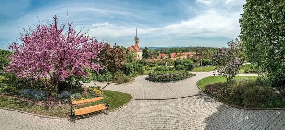 Luxury Süit, 1 Yatak Odası