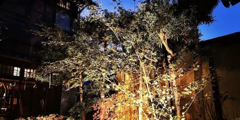 Premium Süit, Bahçe Manzaralı