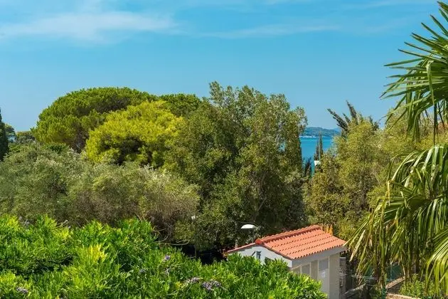 Tek Büyük veya İki Ayrı Yataklı Oda, Avlu Manzaralı