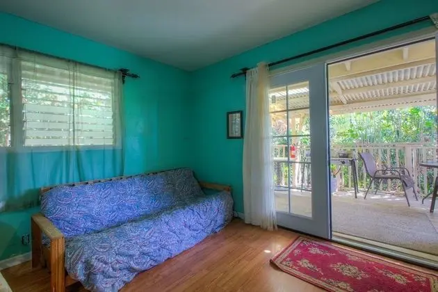 Basic Stüdyo, Sigara İçilmez, Veranda (Jungle)