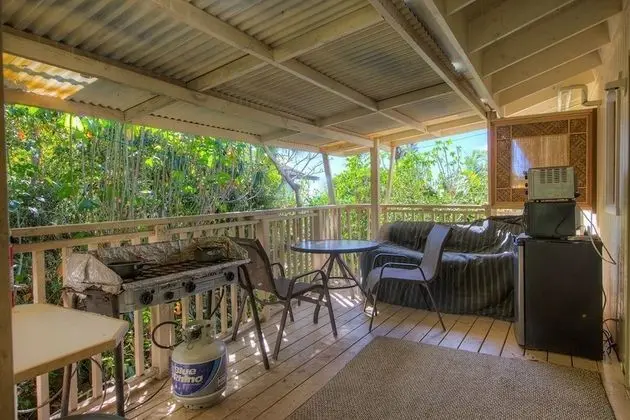 Basic Stüdyo, Sigara İçilmez, Veranda (Jungle)
