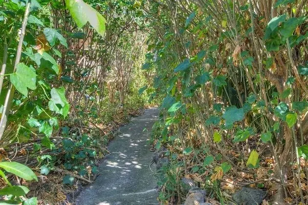 Basic Stüdyo, Sigara İçilmez, Veranda (Jungle)