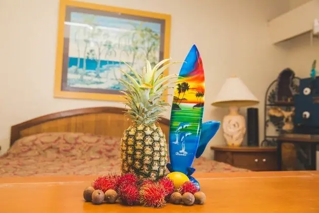 Extra Large Ocean Studio