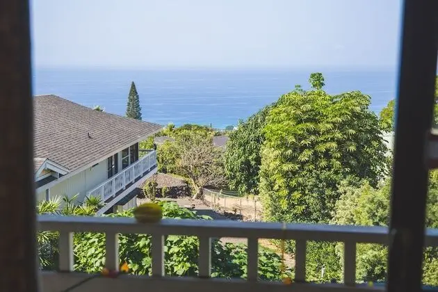 Extra Large Ocean Studio