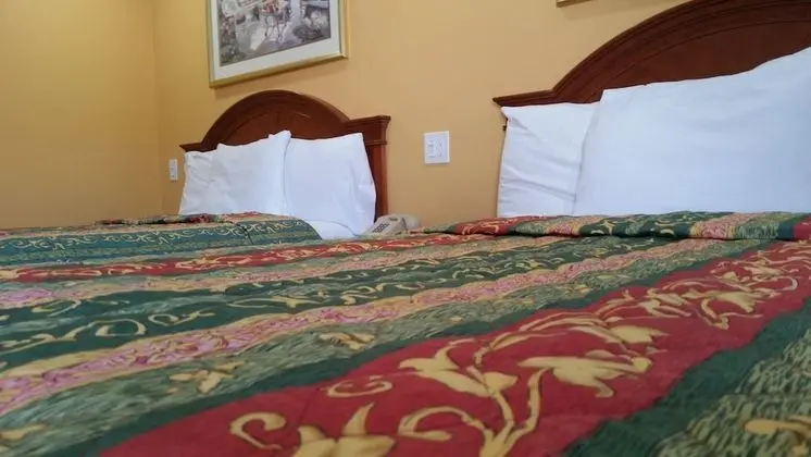 Deluxe Oda, 2 Çift Kişilik Yatak