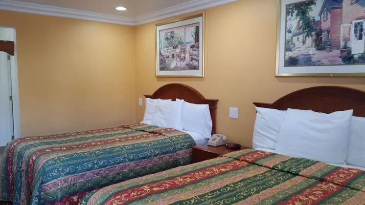 Deluxe Oda, 2 Çift Kişilik Yatak