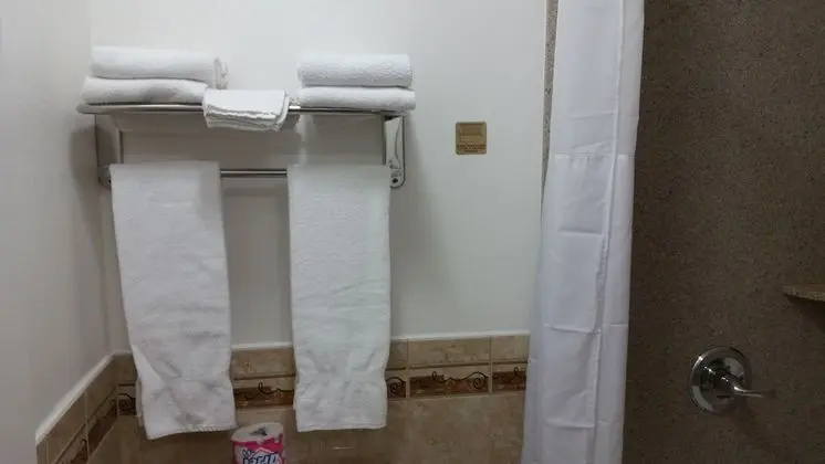 Deluxe Oda, 2 Çift Kişilik Yatak