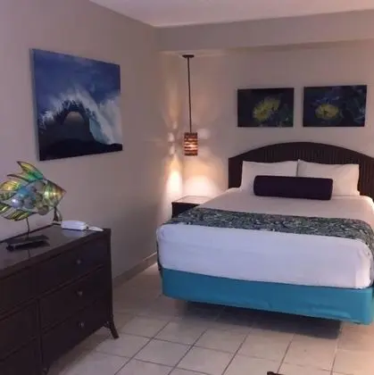 Stüdyo Süit