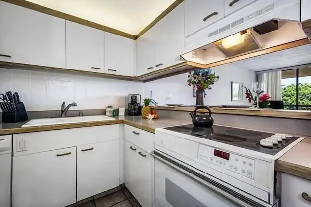 Apart Daire, Birden Çok Yatak (Kona Pacific B511)
