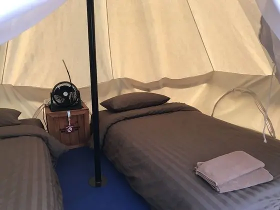 Softail (Twin Bed Mountain View)