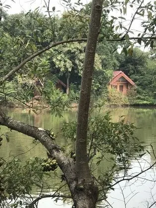 Standard Bungalov