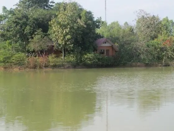 Standard Bungalov