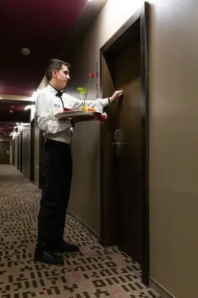 Standard Tek Büyük Yataklı Oda, 1 Çift Kişilik Yatak