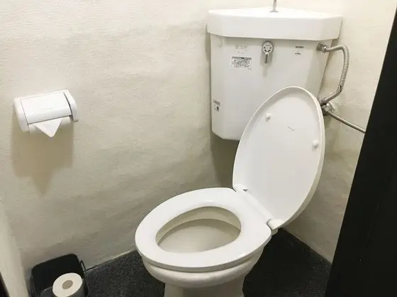 Basic Tek Büyük Yataklı Oda, 2 Çift Kişilik Yatak, Sigara İçilmez