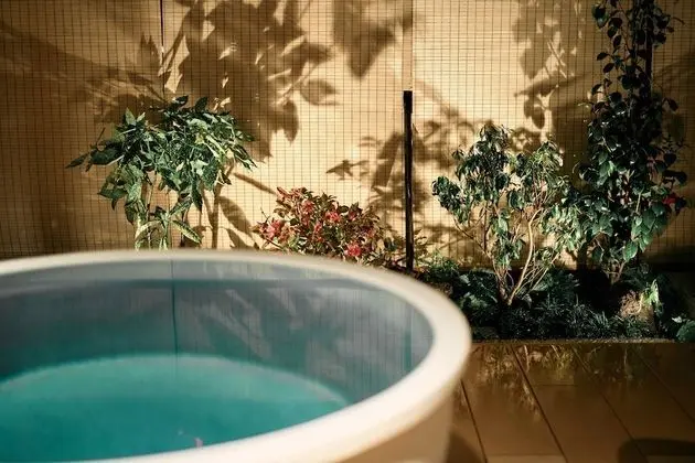 Luxury Çatı Katı Süiti (Penthouse)