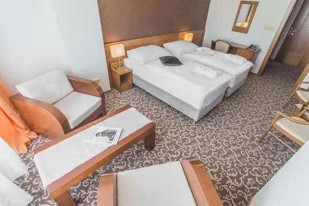 Tek Büyük veya İki Ayrı Yataklı Oda (Free Wellness Access)