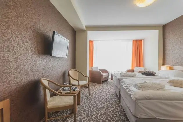 Tek Büyük veya İki Ayrı Yataklı Oda (Free Wellness Access)