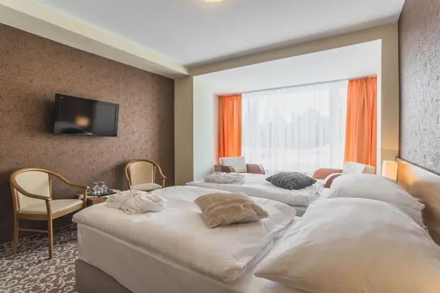 Tek Büyük veya İki Ayrı Yataklı Oda (Free Wellness Access)