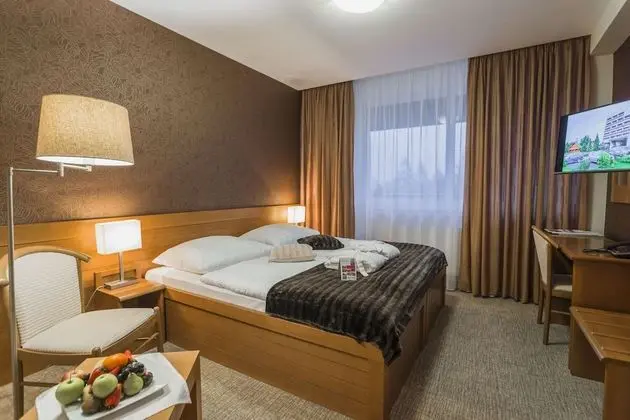 Tek Büyük veya İki Ayrı Yataklı Oda (Free Wellness Access)