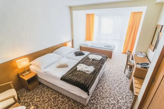 Üç Kişilik Oda (Free Wellness Access)