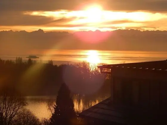 Basic Tek Büyük Yataklı Oda