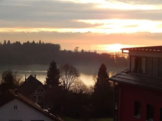 Basic Tek Büyük Yataklı Oda