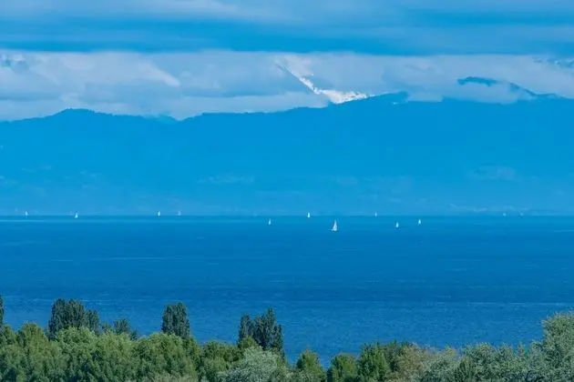 Basic Tek Büyük Yataklı Oda