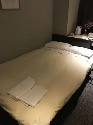 Economy Tek Büyük Yataklı Oda, Sigara İçilmez
