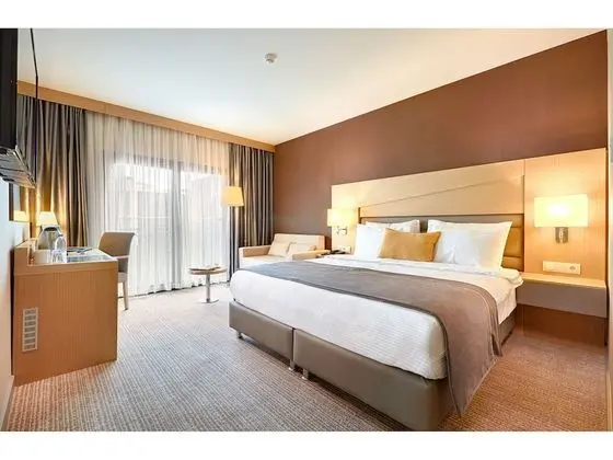 Deluxe Tek Büyük Yataklı Oda, 1 En Büyük (King) Boy Yatak ve Çekyat, Balkon, Şehir Manzaralı
