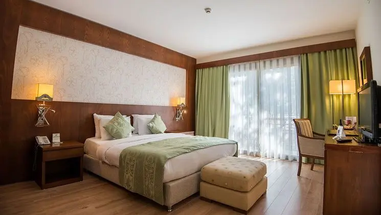 Standard Dağ Manzaralı Oda