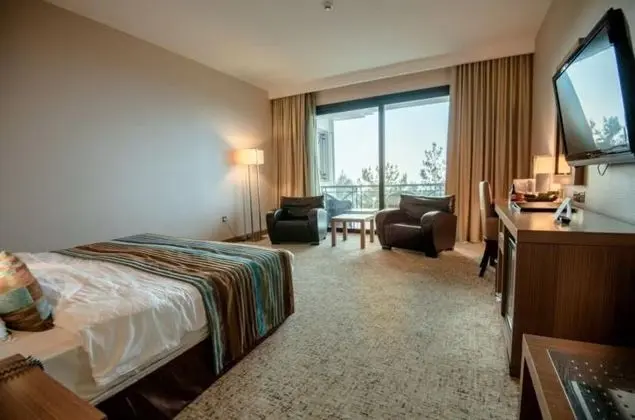 Standard Dağ Manzaralı Oda