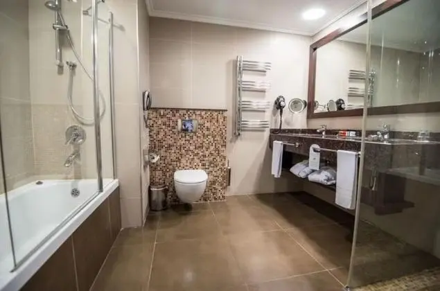Standard Dağ Manzaralı Oda