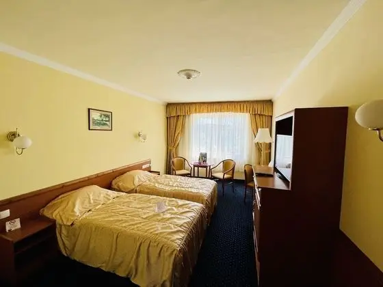 Superior Tek Büyük veya İki Ayrı Yataklı Oda