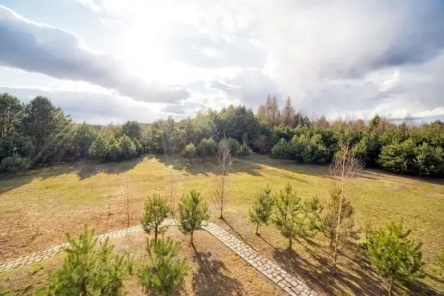 Comfort Üç Kişilik Oda