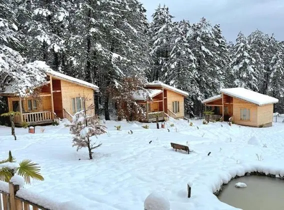 Bungalow, Bahçe Manzaralı, Balkonlu