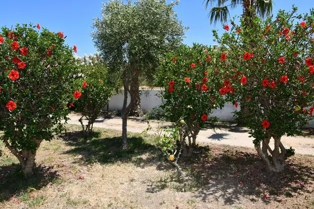 Apart Daire, 2 Tek Kişilik Yatak