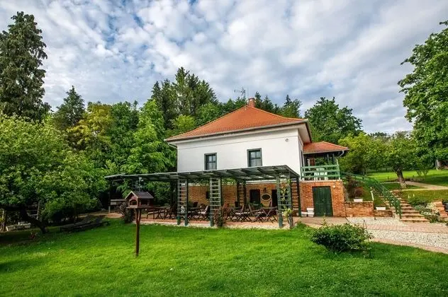 Standard Tek Büyük Yataklı Oda (Levendula)