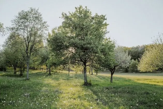 Tek Büyük Yataklı Oda (Pajta)
