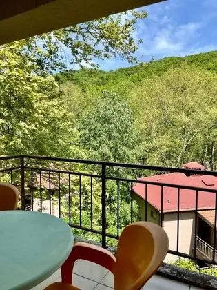 Aile Odası, Dağ Manzaralı
