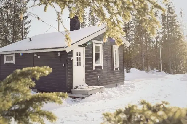 Family Kulübe, 1 Yatak Odası, Dağ Manzaralı
