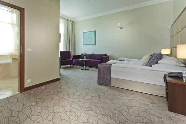 Boutique Suite (Free SPA entrance)