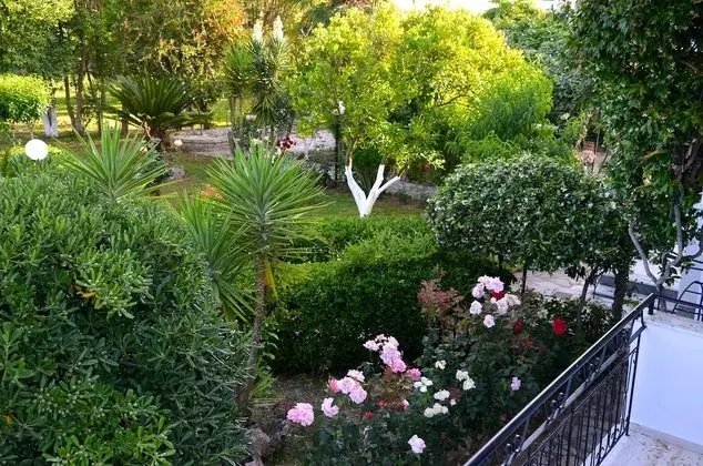 Apart Daire (2)