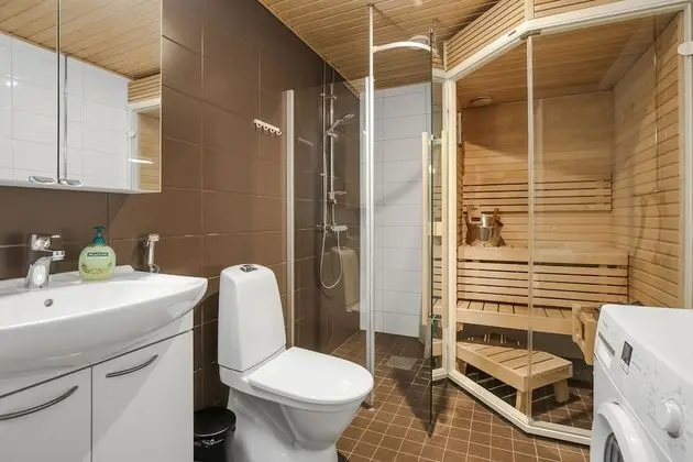 Apart Daire, 1 Yatak Odası, Sauna (City Center)