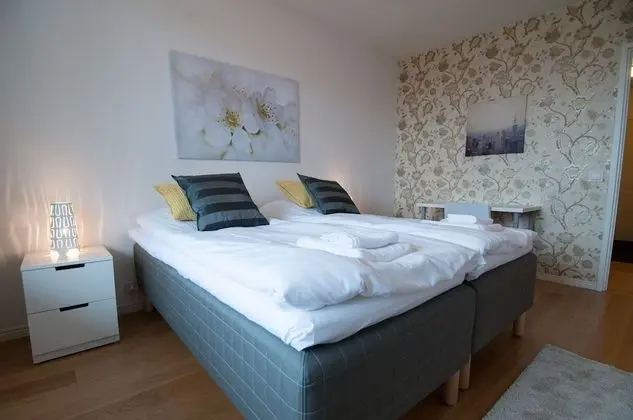 Apart Daire, 1 Yatak Odası, Sauna