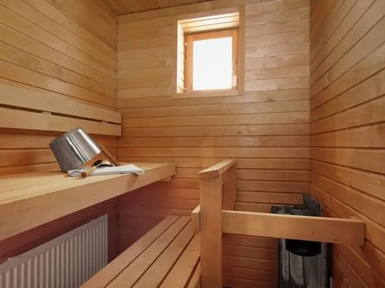 Apart Daire, 1 Yatak Odası, Sauna