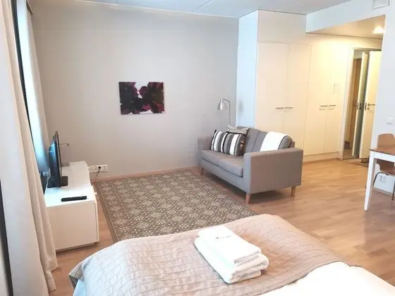Stüdyo, Sauna (double bed 120cm)