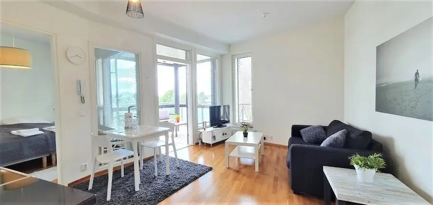 Apart Daire, 1 Yatak Odası, Sauna (City Center Area)