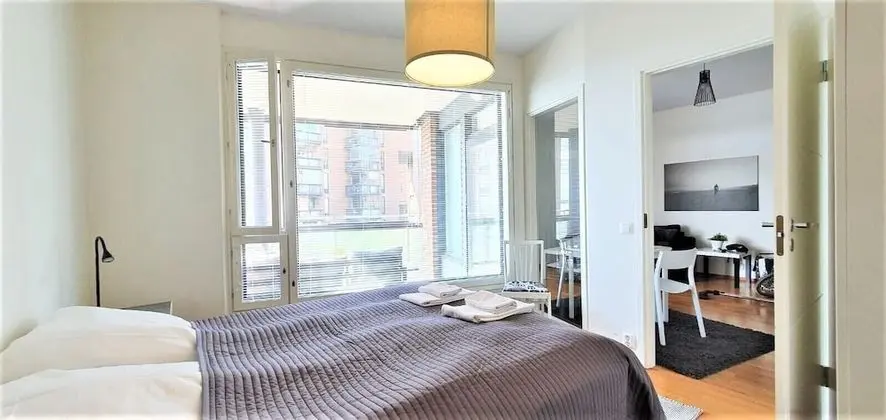 Apart Daire, 1 Yatak Odası, Sauna (City Center Area)